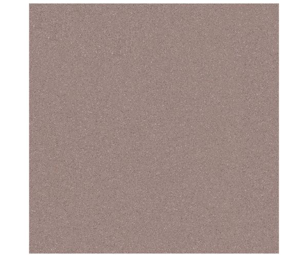 24X24 Courtyard Cocoa Mud Protect