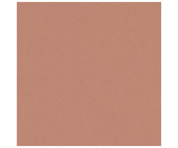 24X24 Courtyard Terra Red Protect