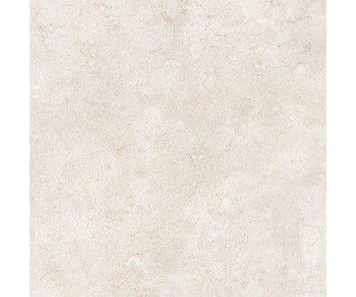 24X24 Evolution White Nat. Rt