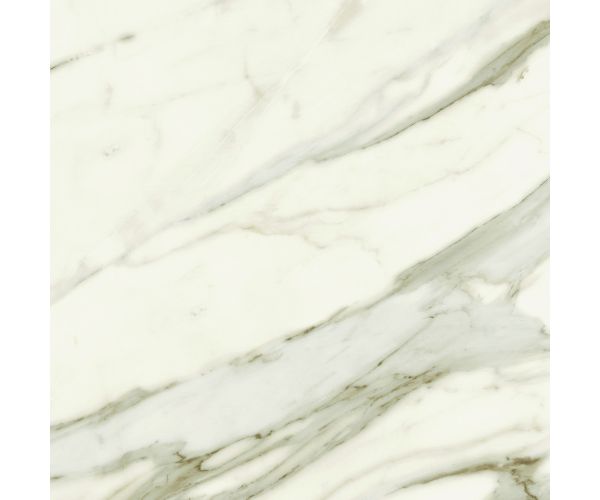 24X24 Marvel Meraviglia Calacatta Bernini Lap. Rt.