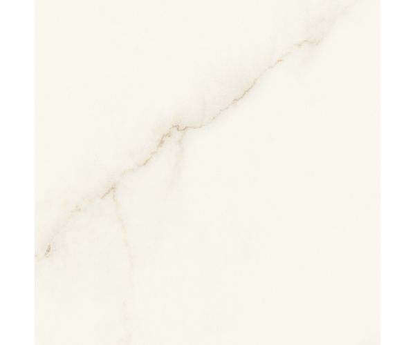 24X24 Marvel X Calacatta Apuano Mat Rt