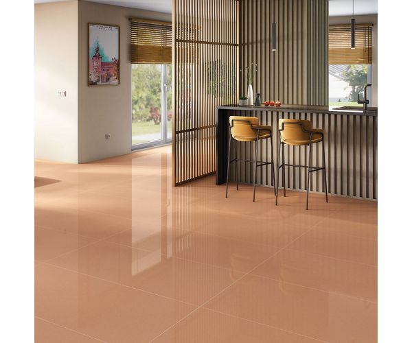 24X24 Courtyard Terra Red Protect