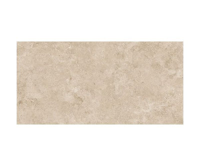 24X48 Evolution Beige Soft Shiny Rt