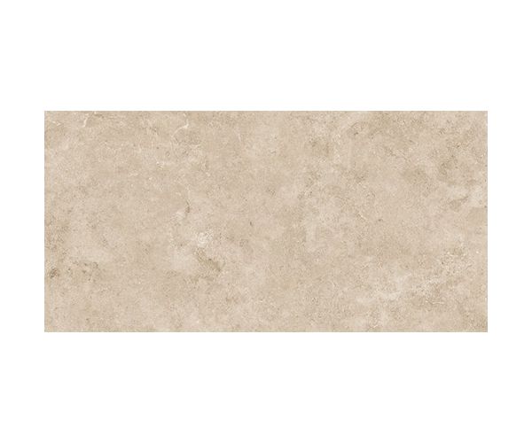 24X48 Evolution Beige Soft Shiny Rt