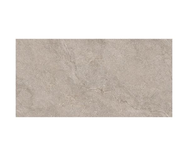 24X48 Evolution Light Grey Nat. Rt