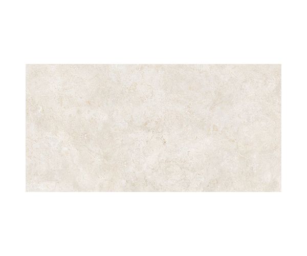 24X48 Evolution White Nat. Rt