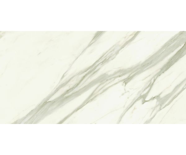 24X48 Marvel Meraviglia Calacatta Bernini Velvet Rt.