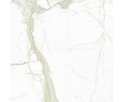 29.6''x29.6'' Maxfine Marmi 6mm White Calacatta Lev.