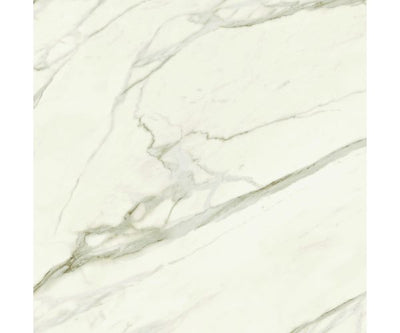 48X48 Marvel Meraviglia Calacatta Bernini Lap. Rt.
