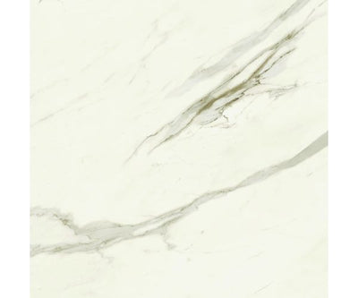 48X48 Marvel Meraviglia Calacatta Bernini Lap. Rt.