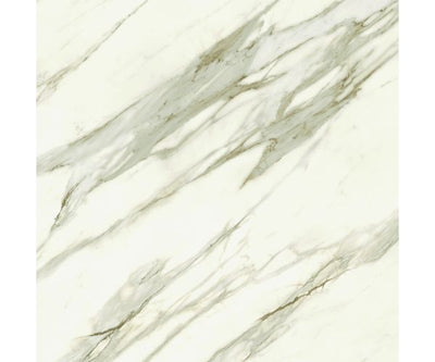 48X48 Marvel Meraviglia Calacatta Bernini Lap. Rt.