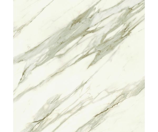 48X48 Marvel Meraviglia Calacatta Bernini Lap. Rt.