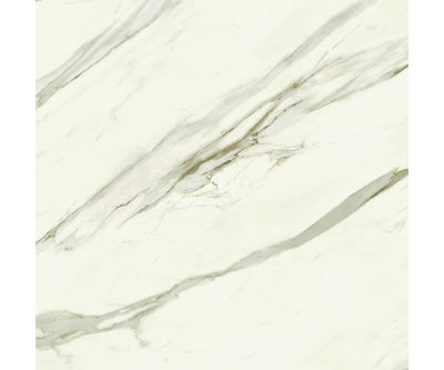 48X48 Marvel Meraviglia Calacatta Bernini Lap. Rt.