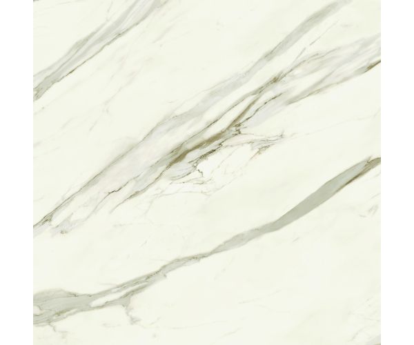 48X48 Marvel Meraviglia Calacatta Bernini Lap. Rt.