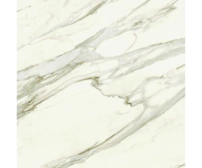 48X48 Marvel Meraviglia Calacatta Bernini Lap. Rt.