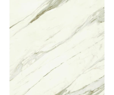 48X48 Marvel Meraviglia Calacatta Bernini Lap. Rt.