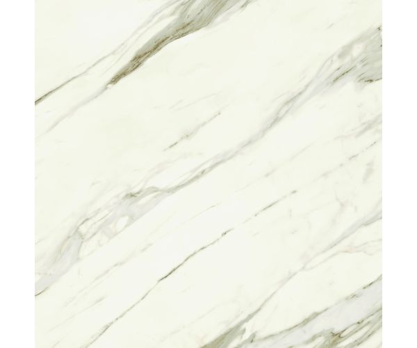 48X48 Marvel Meraviglia Calacatta Bernini Lap. Rt.
