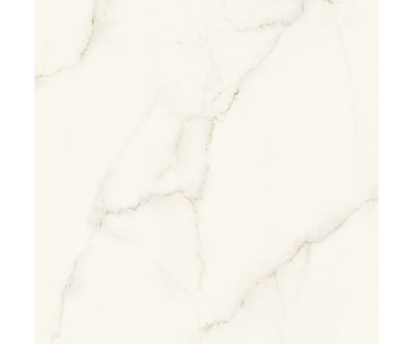 48X48 Marvel X Calacatta Apuano Lap. Rt