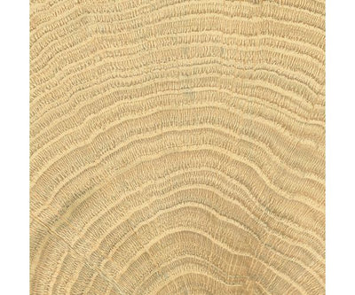 4X4 W-Circles Oak Nat.