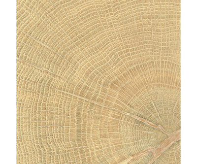 4X4 W-Circles Oak Nat.