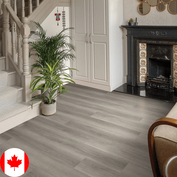 Vinyle aventure - Surfaces Expert