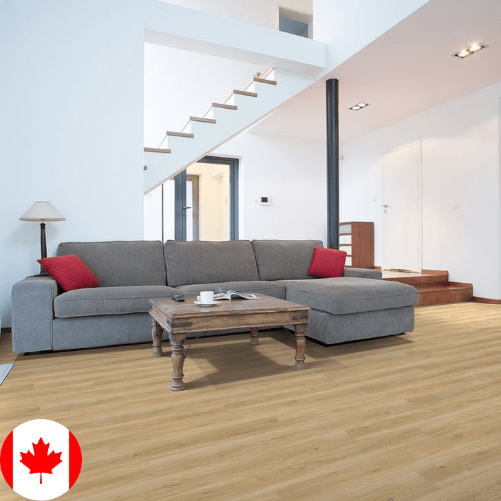 Vinyle aventure - Surfaces Expert