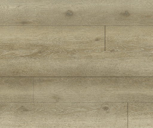 Vinyle Série actuelle