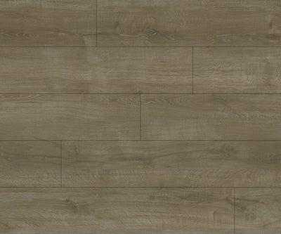 Vinyle Série distinction - Surfaces Expert