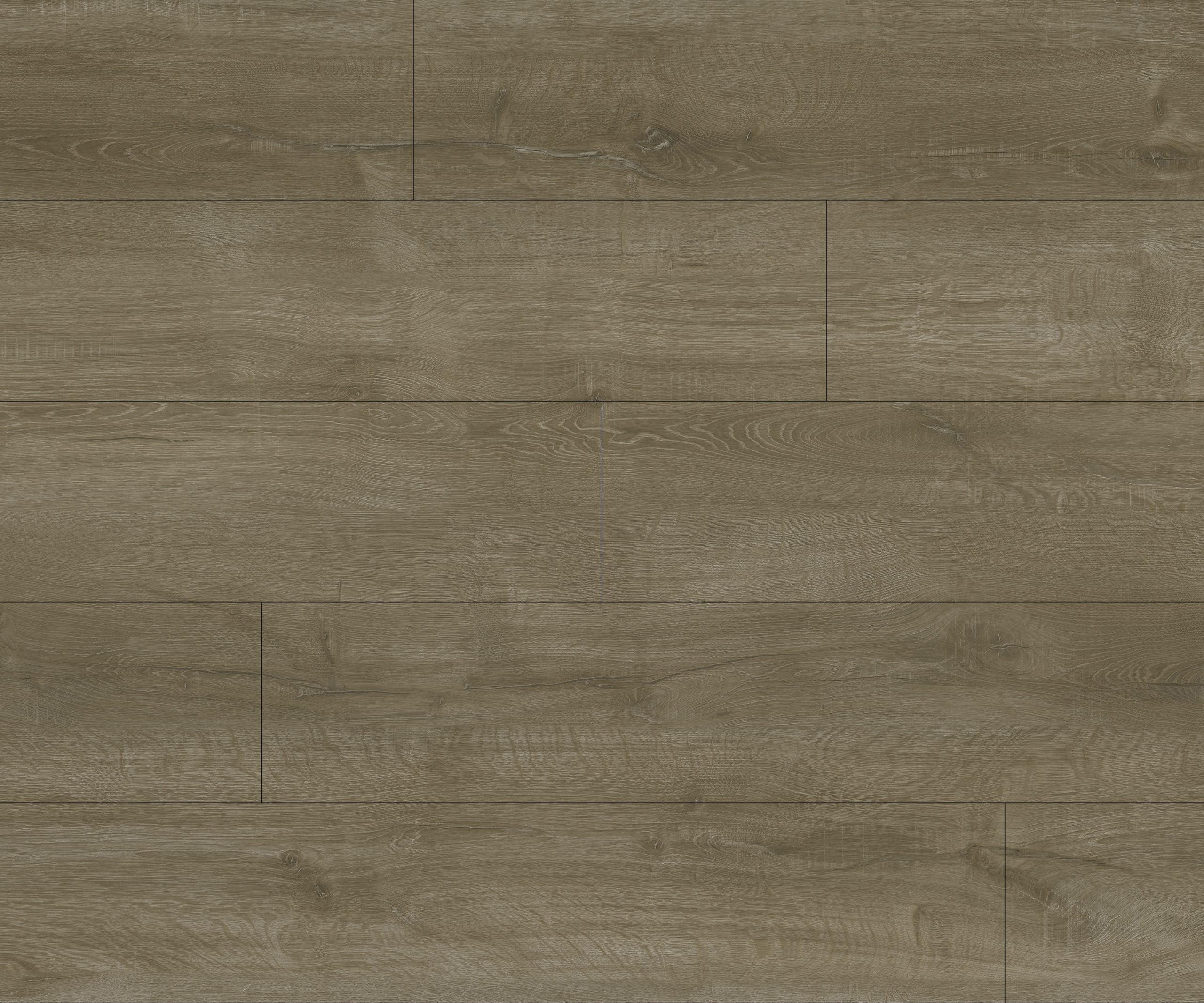 Vinyle Série distinction - Surfaces Expert