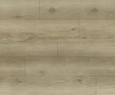 Vinyle Série distinction - Surfaces Expert