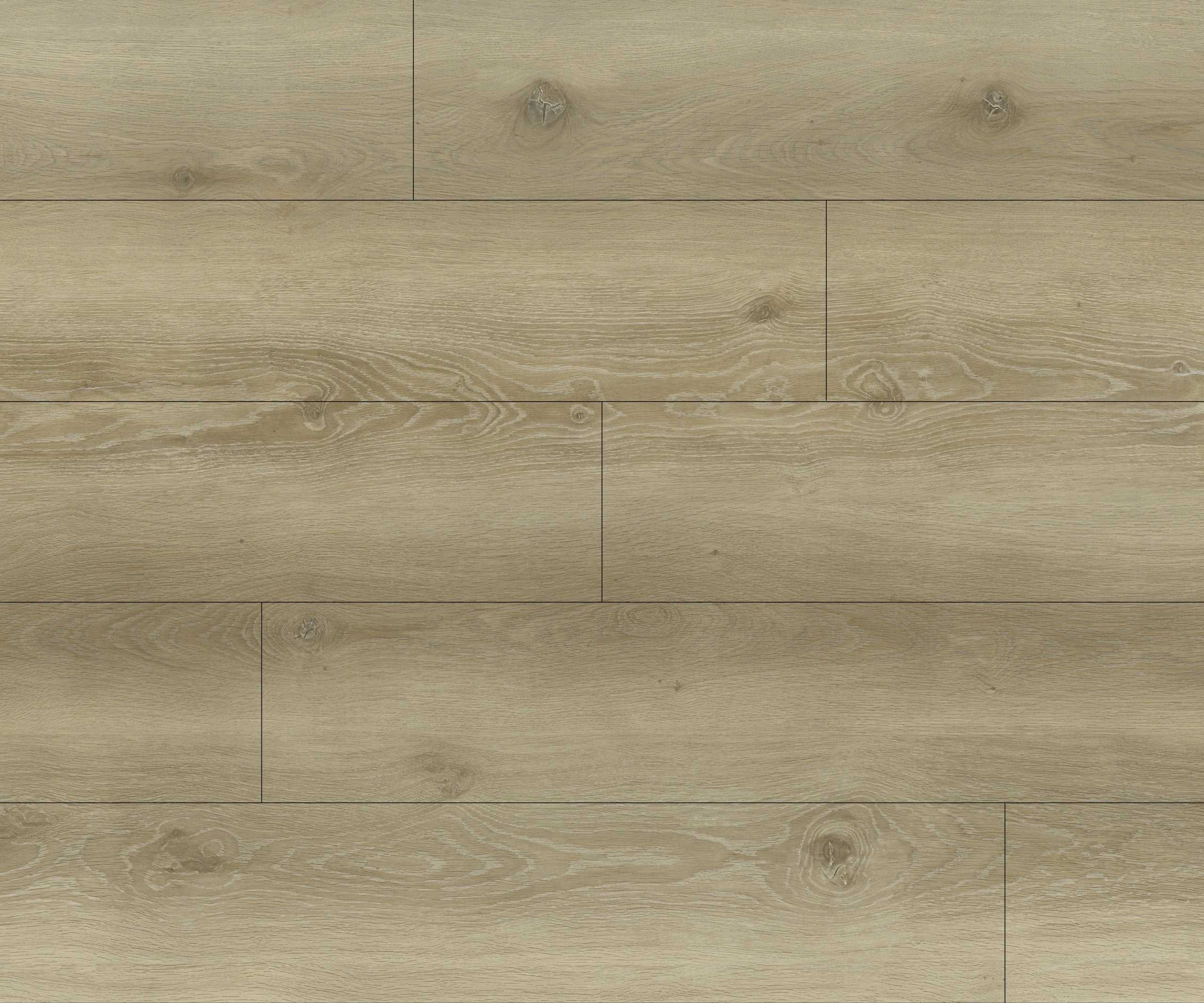 Vinyle Série distinction - Surfaces Expert