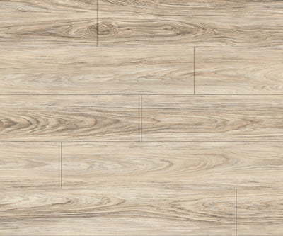 Vinyle Série distinction - Surfaces Expert