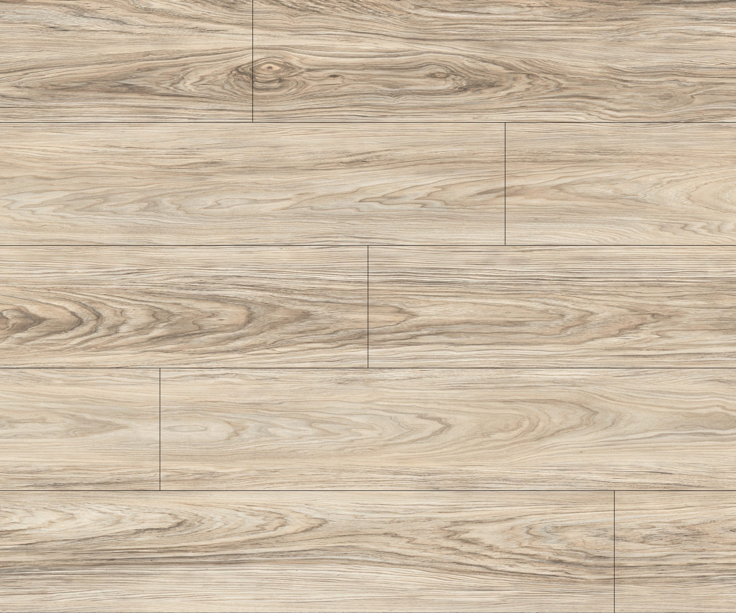 Vinyle Série distinction - Surfaces Expert